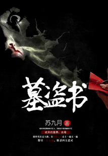 墓盗书 怎么样