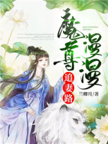 魔尊追妻指南小说