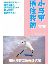 裹紧我的小马甲咒回