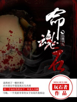 梦三国2命魂石