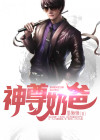 神尊奶爸回都市