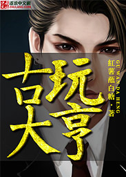 古玩大亨小说完整版