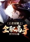 王者荣耀全职高手电视剧