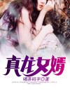 真龙女婿叶辰