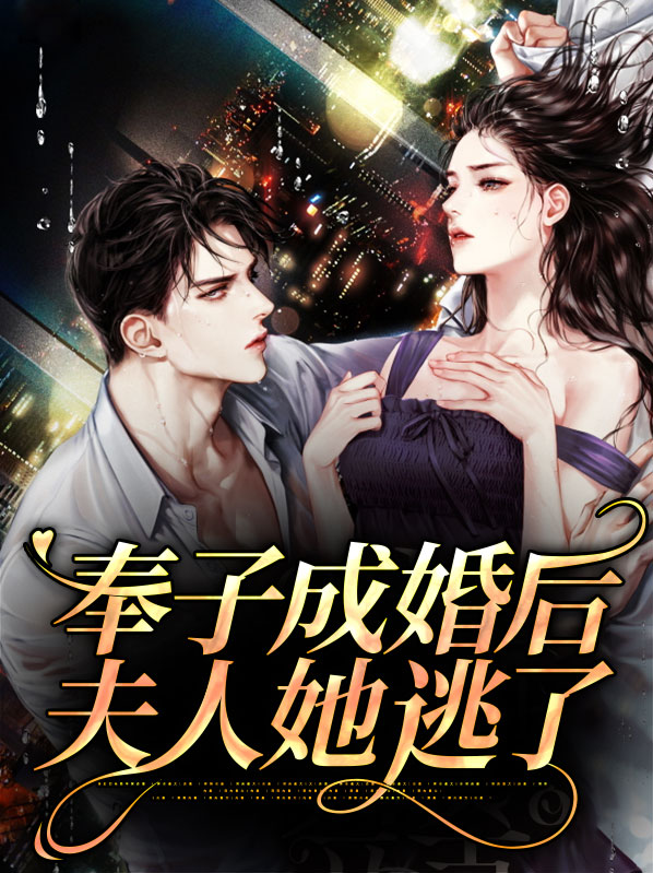 奉子成婚后小说