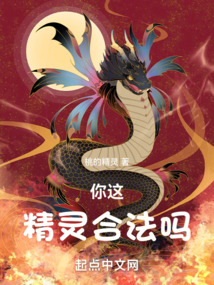 你这精灵合法吗无防盗