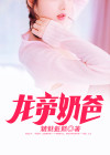 龙帝奶爸 小说