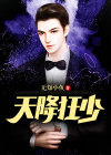 天降狂卫免费阅读