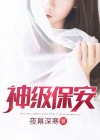 神级保安游戏破解内购