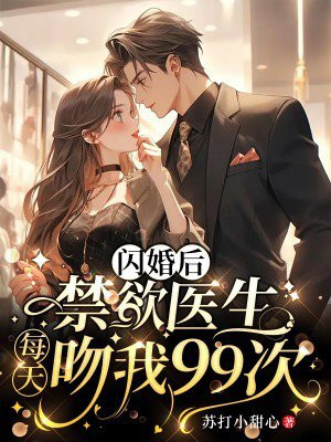 医生闪婚宠文小说