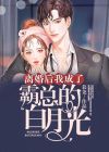离婚后我成了霸总的白月光