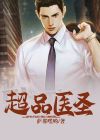 超品医圣叶辰