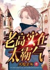 老高是干什么的