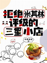 拒绝米其林评级的三星小店txt