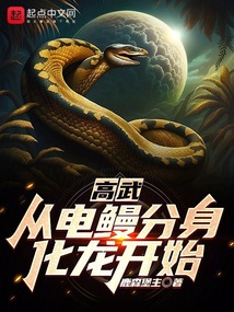 高武:从电鳗分身化龙开始笔趣阁