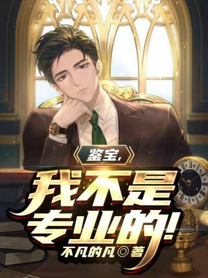 鉴宝,我不是专业的! 不凡的凡 TXT