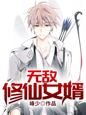 最强无敌女婿 小说
