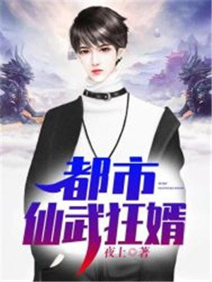 都市之仙医狂婿免费收听