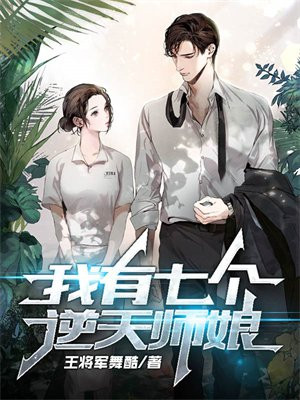 我有七个美女师傅叶修