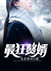 最狂赘婿叶辰免费阅读