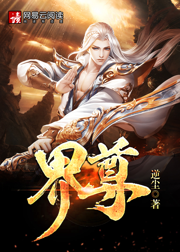 界尊锐顶配版