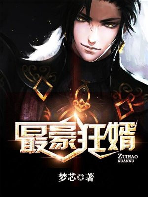 最豪狂婿免费全文阅读何生