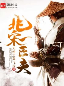 北宋一匹夫宁策笔趣阁