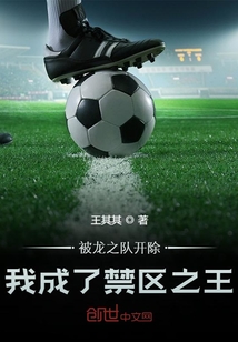 被龙之队开除,我成了禁区之王