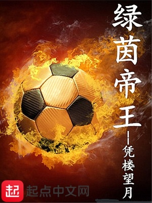 绿茵王朝球员位置一览表