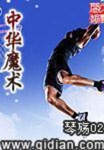 中华魔术小说