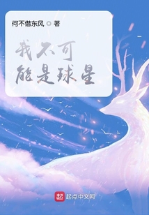 我不可能是球星 小说