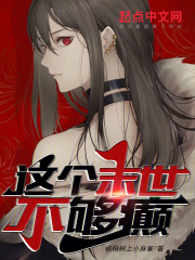 这个末世不一般 小说