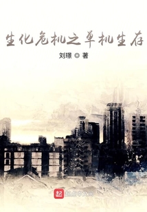 生化危机4单机