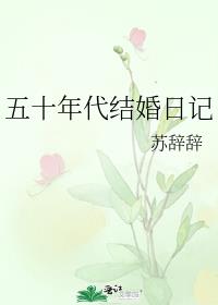 五十年代结婚日记下载