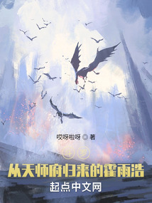 斗罗:从天师府归来的霍雨浩目录