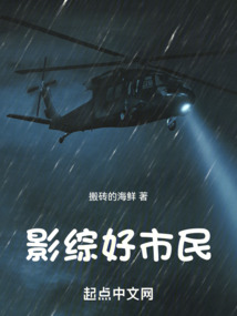 影综好市民 小说