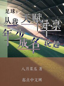 足球天才穿越到地球了小说