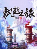 飘邈之旅 小说
