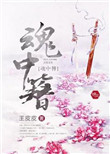 魂中簪 王皮皮