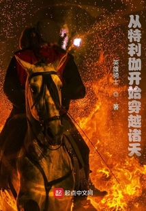 从特利伽开始穿越诸天 英雄骑士