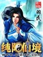纯阳仙境小说