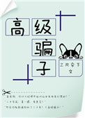 高级骗局娱乐圈txt