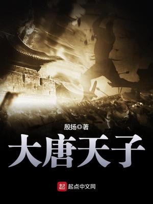 大唐天子52度浓香型酒价格