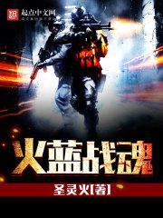 战火兵魂报菜名多少集