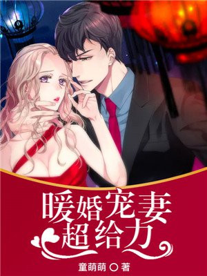 暖婚免费阅读