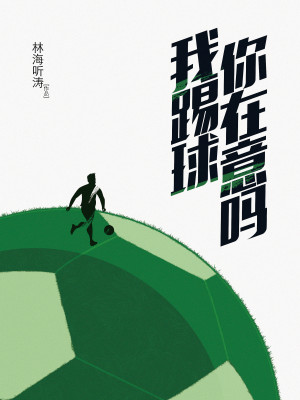 我踢球你在意吗TXT下载
