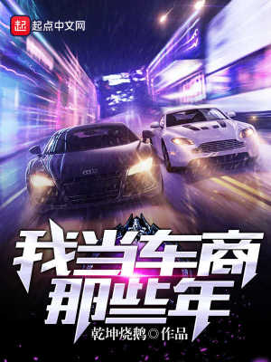 我当车商那些年TXT下载