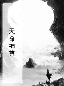 天命神尊一口气看完