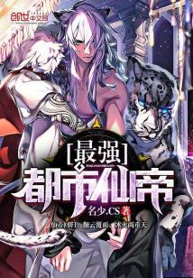 最强都市仙帝叶晨小说