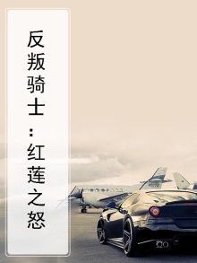 反叛之第一骑士